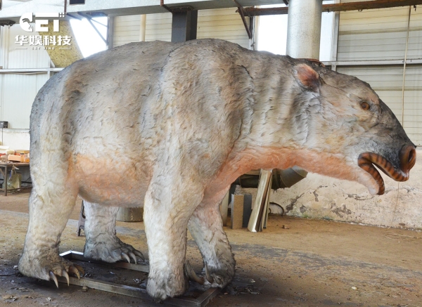 Diplodon（CET-A4）