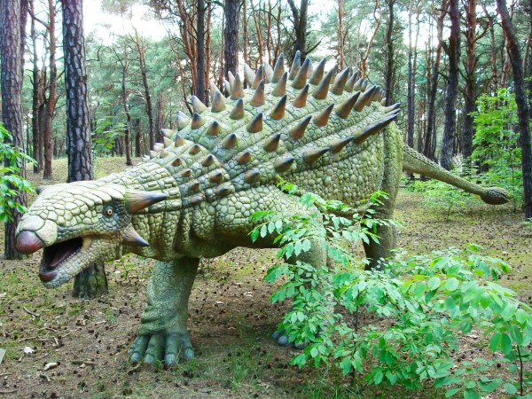 Ankylosaurus（CET-SD10）