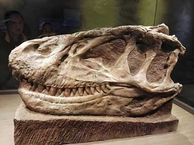 Breakthrough Dinosaur Finds from January to March 2026