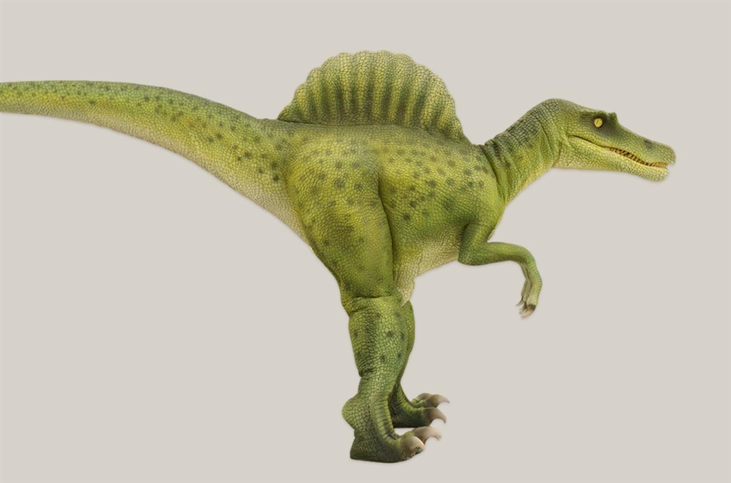 Walking Spinosaurus Suit for Jurassic Events