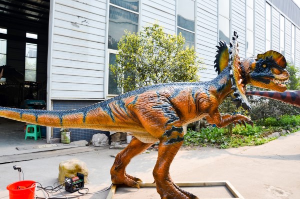 dilophosaurus（CET-SD21）