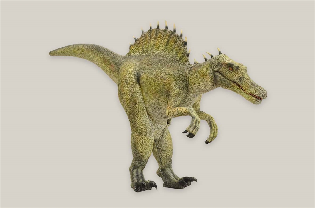Life Size Spinosaurus Costume for Performances