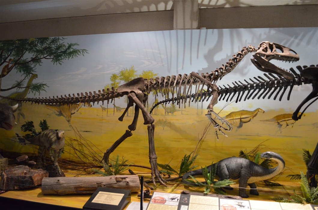 Cetdino brings real dino around the world.