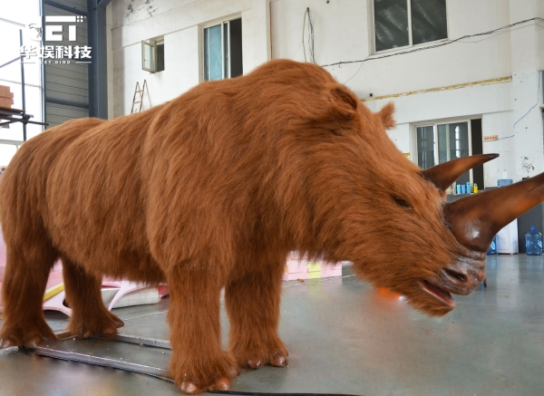 Rinocerontes lanados (CET-A7)